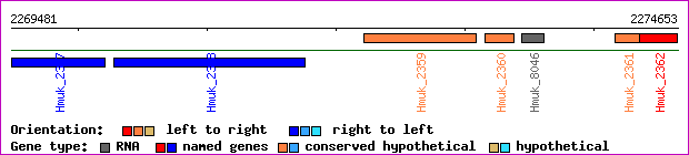 gene map