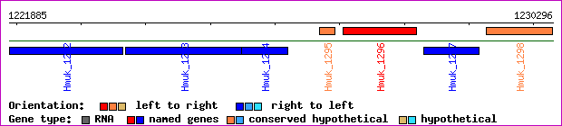 gene map