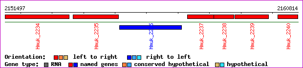 gene map