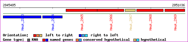 gene map