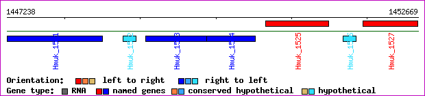 gene map
