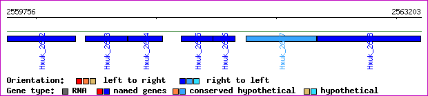gene map