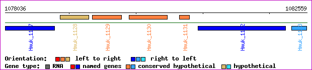 gene map