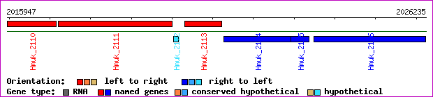 gene map