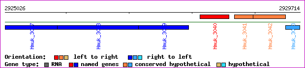 gene map