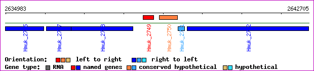 gene map