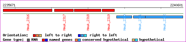 gene map