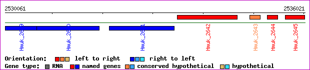 gene map