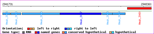gene map