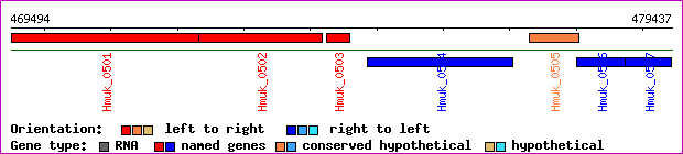 gene map