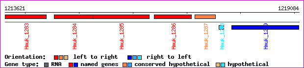 gene map