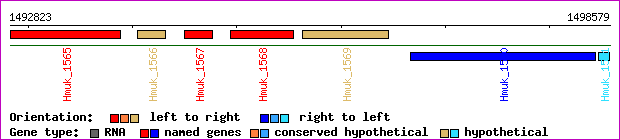 gene map