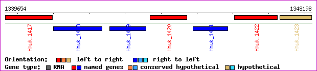 gene map