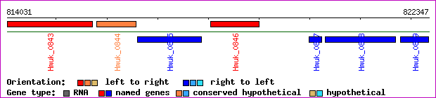 gene map
