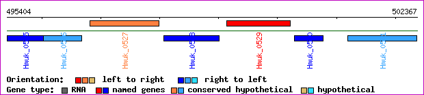 gene map