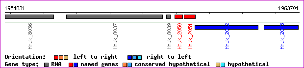 gene map