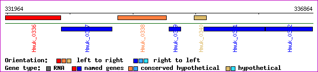 gene map