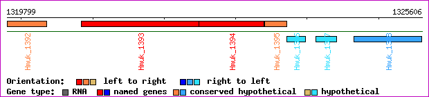 gene map