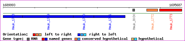 gene map