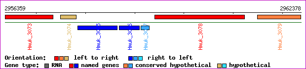 gene map
