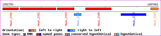 gene map