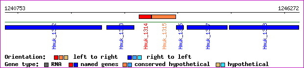 gene map