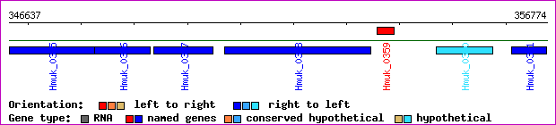 gene map