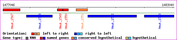 gene map