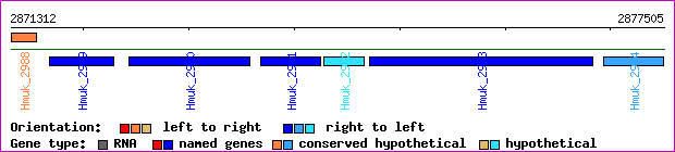 gene map