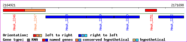 gene map