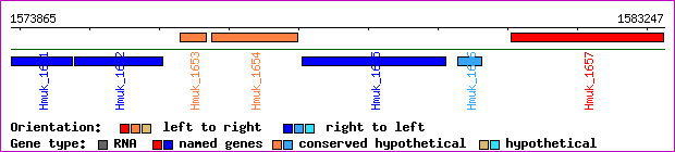 gene map