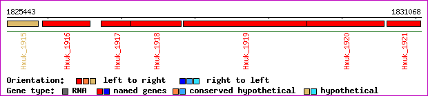 gene map