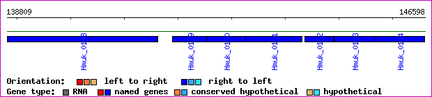 gene map