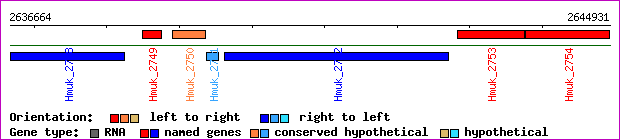 gene map