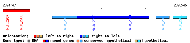 gene map