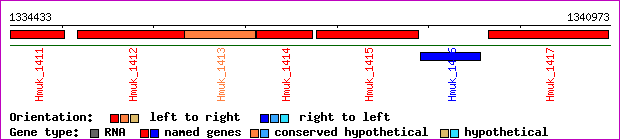 gene map