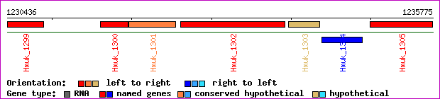 gene map