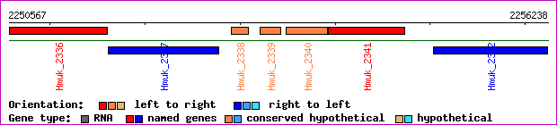 gene map