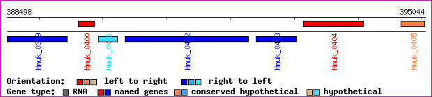 gene map