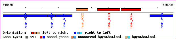 gene map