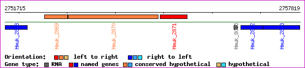 gene map