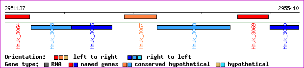 gene map
