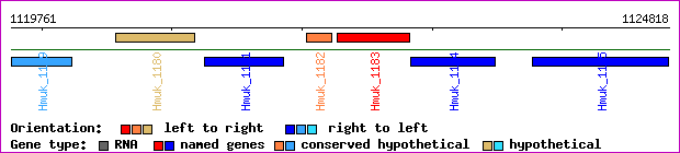 gene map