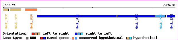 gene map