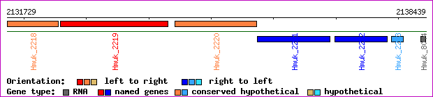 gene map
