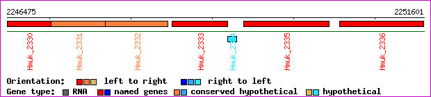 gene map