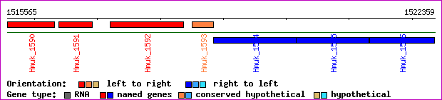 gene map