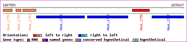 gene map