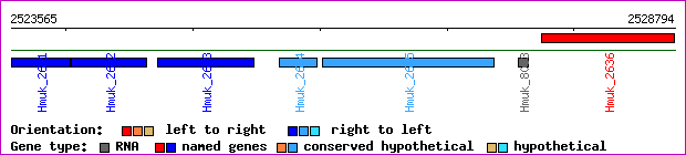 gene map