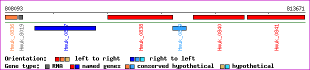 gene map